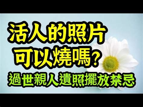 遺照擺放位置|遺照擺放禁忌指南：妥善安置，好運相伴 